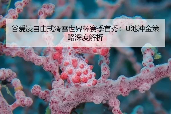 gu-ai-ling-zi-you-shi-hua-xue-shi-jie-bei-sai-ji-shou-xiu-chi-chong-jin-ce-lve-shen-du-jie-xi-3-121.jpg