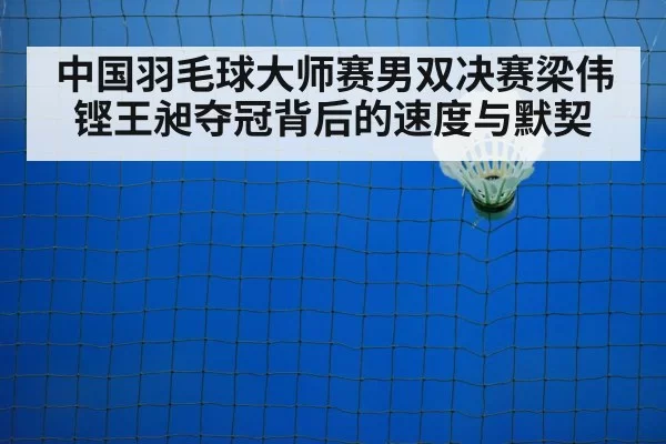 badminton net play closeup